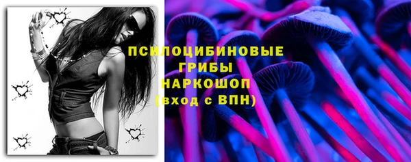прущие грибы Абаза