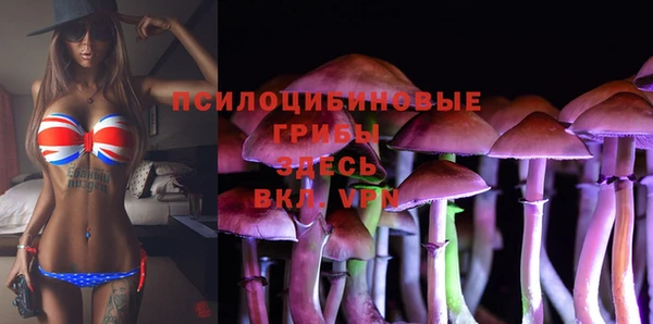 героин Няндома