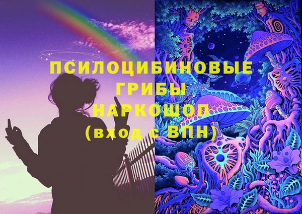 прущие грибы Абаза