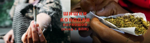 шишки Нязепетровск