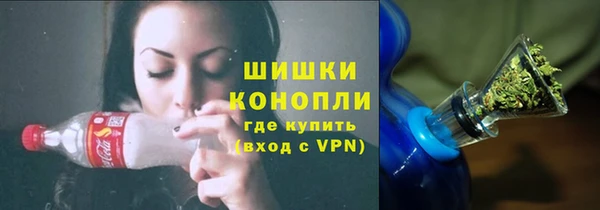 прущие грибы Абаза