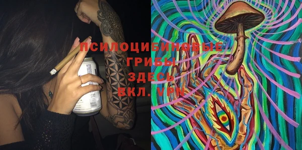 шишки Нязепетровск