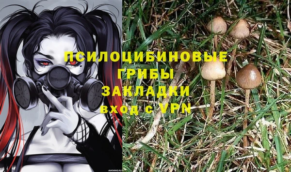 героин Няндома