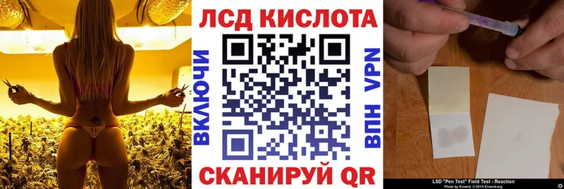 shop как зайти  купить   Анадырь  Наркотические марки 1,8мг 